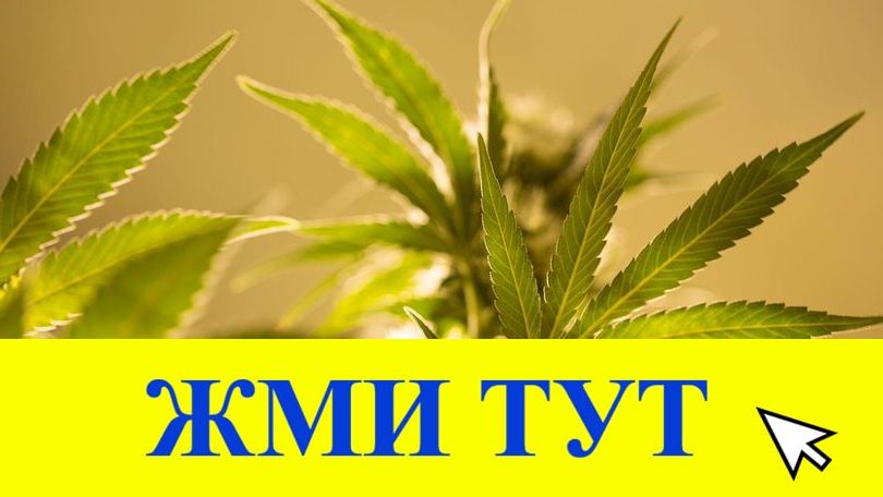 Купить наркотики в Тамбове